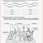 15 Konzentrationsübungen Arbeitsblätter Kostenlos