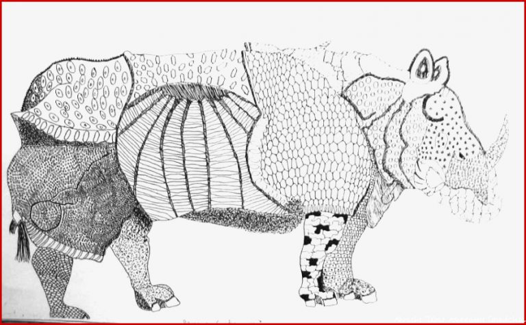 22 Albrecht Dürer Rhinozeros Arbeitsblatt Top Pinterest