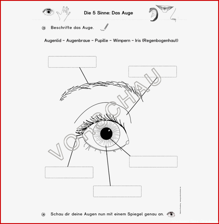 5 Sinne Werkstatt für Grundschule