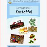 64 Arbeitsblatt Grundschule Kartoffel Kidworksheet