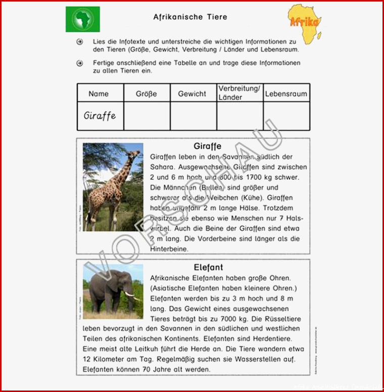 Afrika Werkstatt für Grundschule