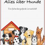 Alles über Hunde Eine Fächerübergreifende Lernwerkstatt