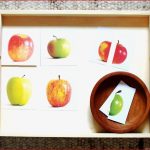 Apfel themenwoche Plus Download Montessori Blog & Shop