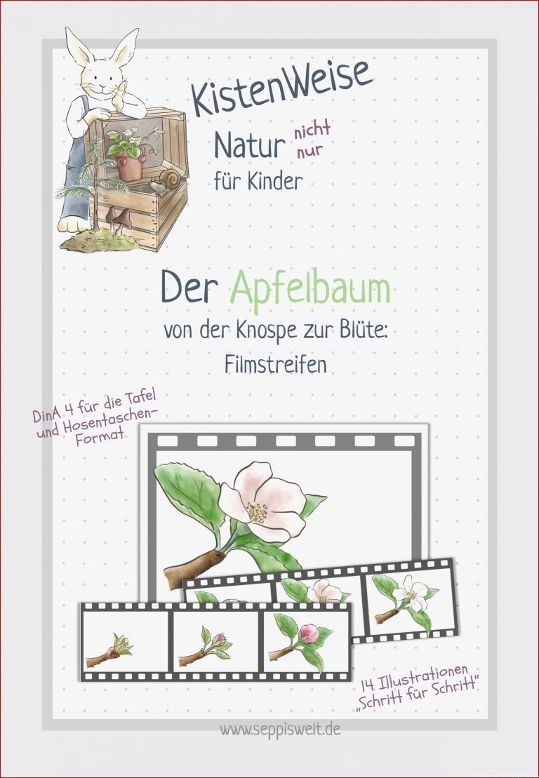 Apfelbaum 4 jahreszeiten grundschule Apfelbaum