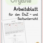 Arbeitsblätter Daz Grundschule Worksheets