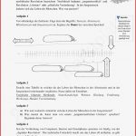 Arbeitsblätter Geschichte Klasse 5 Steinzeit Worksheets