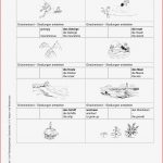 Arbeitsblätter · Sekundarstufe I · Lehrerbüro