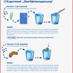 Arbeitsblatt Experiment Oberflächenspannung