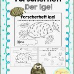 Arbeitsblatt Igel Stephen Scheidt Schule