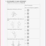 Arbeitsblatt K Per Und Stoffe Physik Mark Clifford Schule