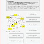 Arbeitsblatt Konzept Map Proteine Biologie