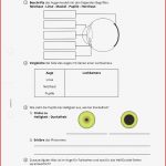 Arbeitsblatt Stationsarbeit Zur Optik Physik Tutory