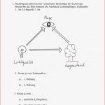 Arbeitsbl舩ter Physik Klasse 6 andre Pauley Schule