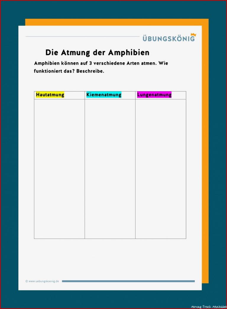 Atmung Von Amphibien