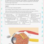 Aufklappbares Arbeitsblatt Beschriftung Des Auges