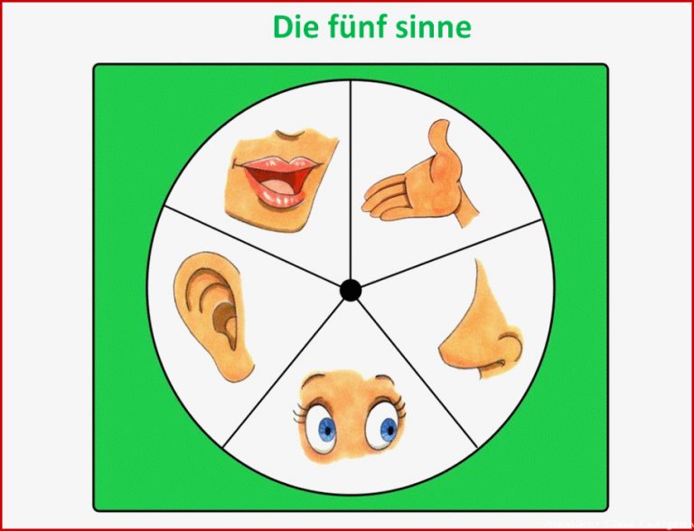 Autismus Arbeitsmaterial Die fünf Sinne