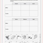Bäume Blätter Früchte – Unterrichtsmaterial In Den