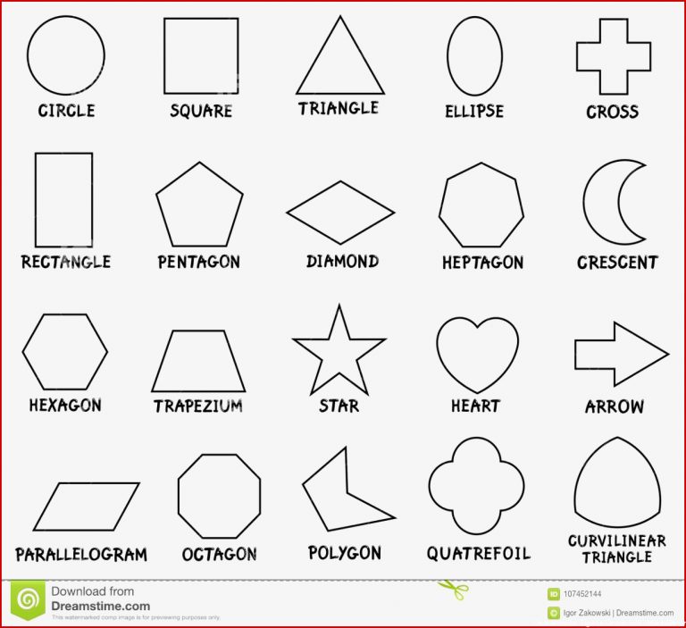 Basic Geometric Shapes Cartoon Vector