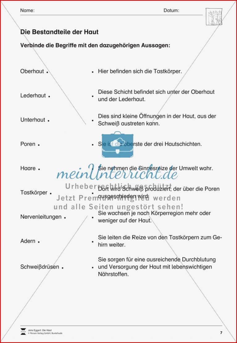 Bestandteile Der Haut Arbeitsblatt Meinunterricht