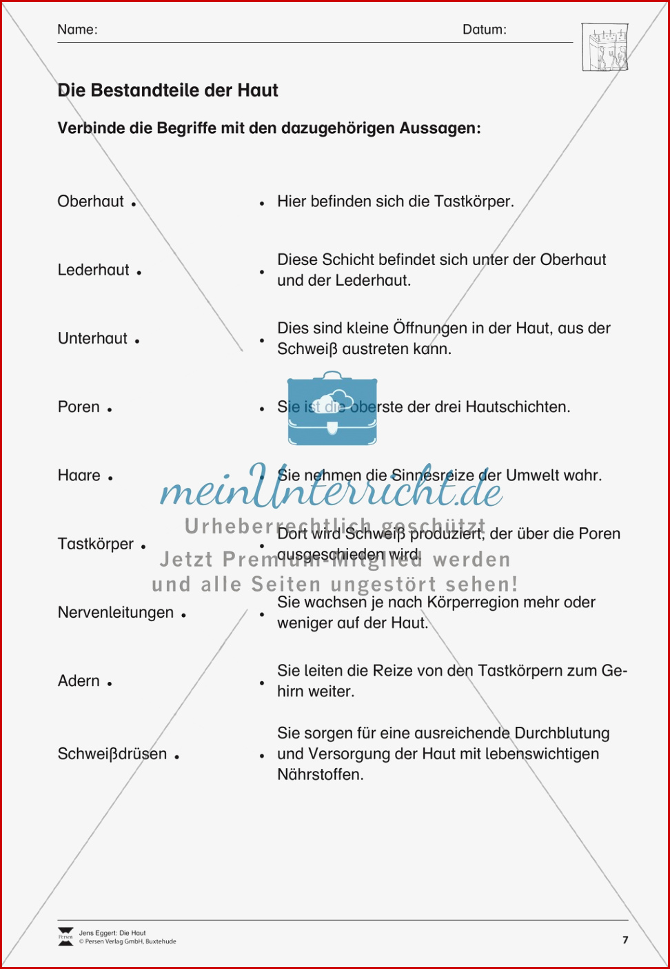 Bestandteile Der Haut Arbeitsblatt Meinunterricht