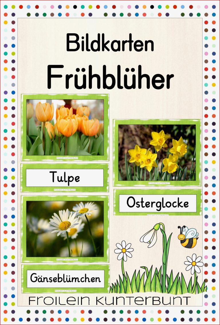 Bildkarten Frühblüher – Unterrichtsmaterial im Fach