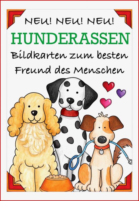 Bildkarten Hunde Hunderassen – Unterrichtsmaterial In