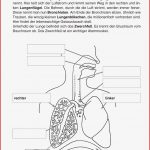 Biologie · Arbeitsblätter · sonderpädagogik · Lehrerbüro