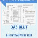 Biologie Blut Und Blutgruppen Unterrichtsentwurf