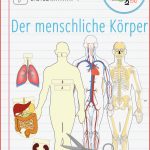 Biologie Der Menschliche Körper Arbeitsblätter Biologie