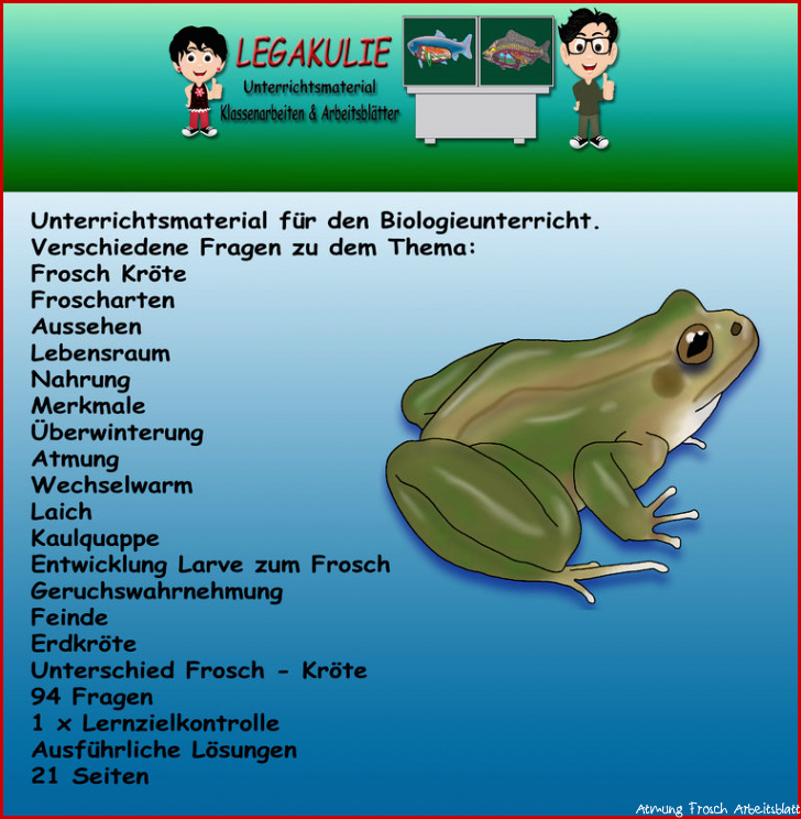 Biologie Frosch Kröte Schularbeit Klassenarbeit