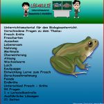 Biologie Frosch Kröte Schularbeit Klassenarbeit