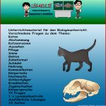 Biologie Katze Schularbeit Klassenarbeit Lernzielkontrolle