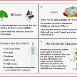 Biologie Kennzeichen Des Lebens Zellen Das Skelett Des