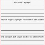 Biologie Klasse 5 Vögel Arbeitsblätter Worksheets