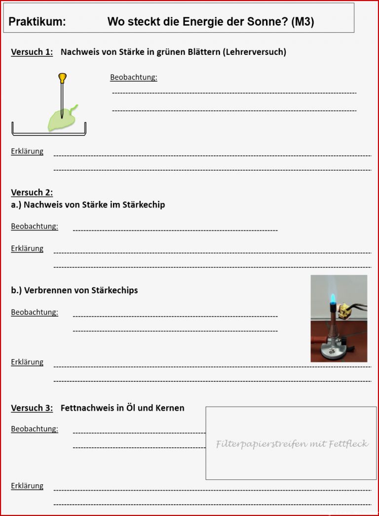 Bnt Klasse 6 Energie Zpg Biologie Naturphanomene Und