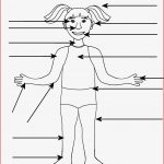 Body Part Worksheet Boy and Girl