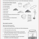 Brücken Bauen Grundschule Arbeitsblätter Worksheets