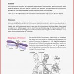 Chromosom Chromatin