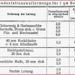 Dampfleitungen [1]