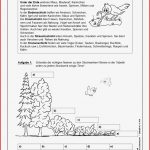 Das Auge Arbeitsblatt Klasse 7 David Llewellyn Grundschule