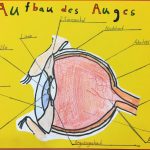 Das Auge – Hans Sachs Schule