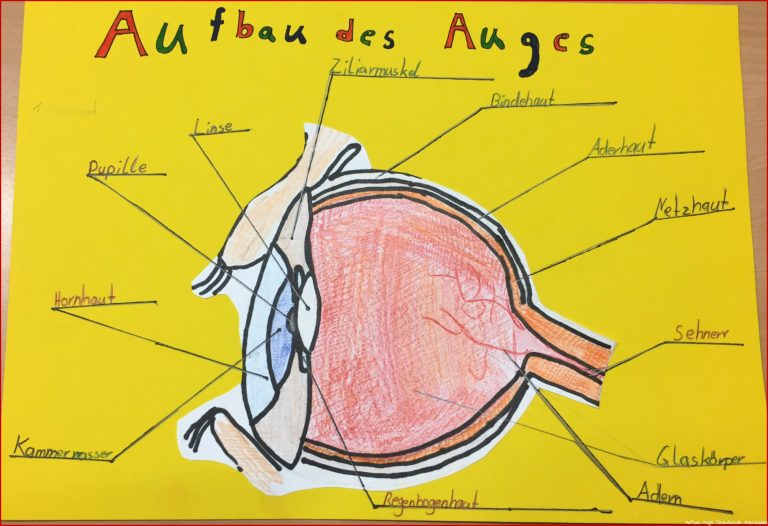 Das Auge – Hans Sachs Schule