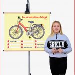 Das Verkehrssichere Fahrrad Als Lehrtafel ׀ Wiemann Lehrmittel