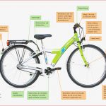 Das Verkehrssichere Fahrrad Deutsche Verkehrswacht