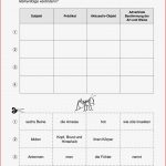 Deutsch Klasse 6 Arbeitsblätter Worksheets