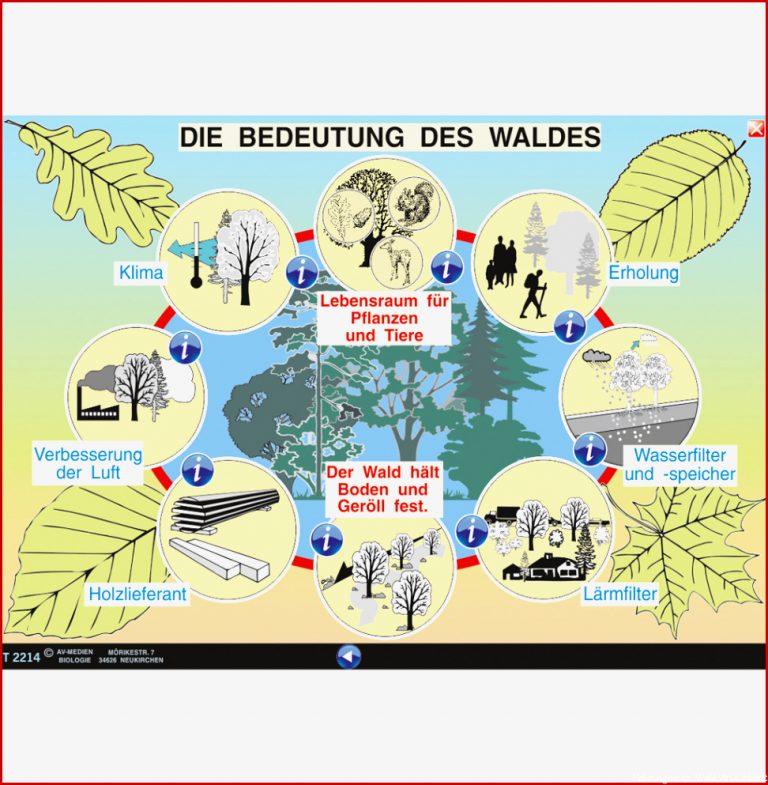 Die Bedeutung des Waldes ST 2058