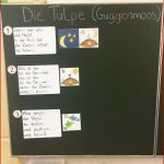 Die Tulpe Guggenmos Arbeitsblätter Worksheets