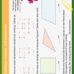 Differenzierte Übungskartei Umfang Und Flächeninhalt