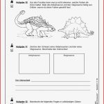 Dinosaurier Grundschule Arbeitsblätter Kinderbilder