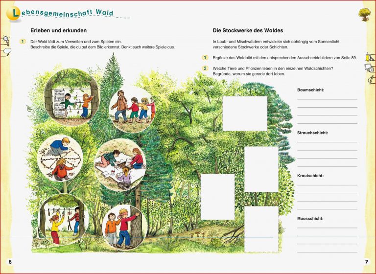 Duden Sachunterricht 4 Klasse Arbeitsheft Buch